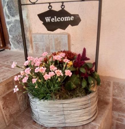 Apartman Anna Apartment Velky Slavkov Exterior photo