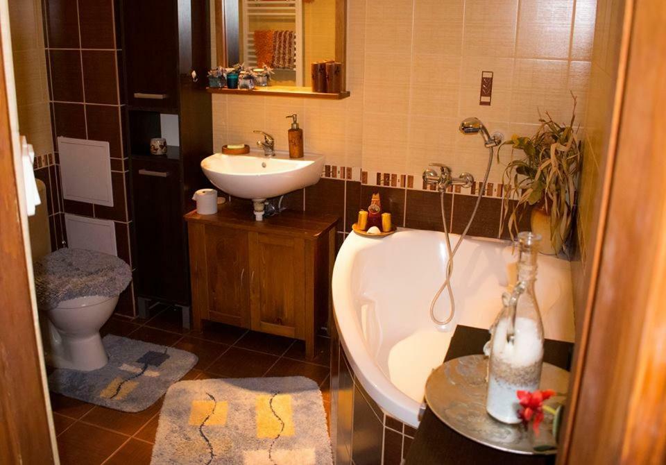 Apartman Anna Apartment Velky Slavkov Exterior photo